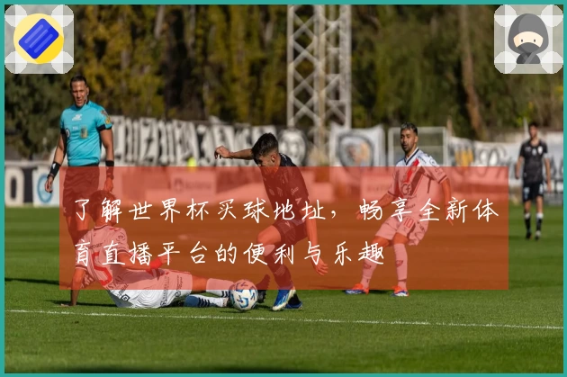 了解世界杯买球地址，畅享全新体育直播平台的便利与乐趣