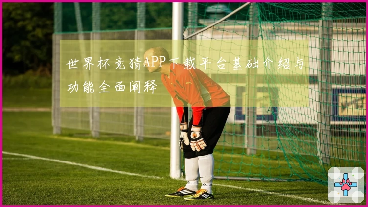 世界杯竞猜APP下载平台基础介绍与功能全面阐释