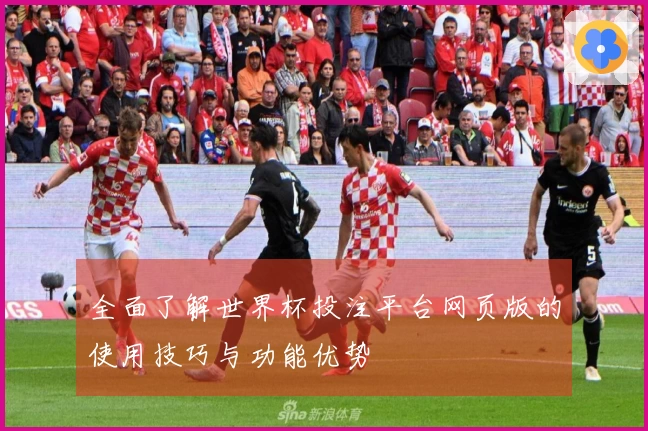 全面了解世界杯投注平台网页版的使用技巧与功能优势