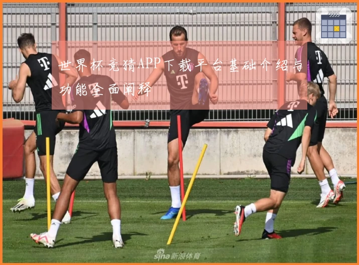 世界杯竞猜APP下载平台基础介绍与功能全面阐释