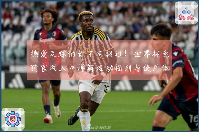 热爱足球的你不可错过！世界杯竞猜官网入口详解活动福利与使用体验